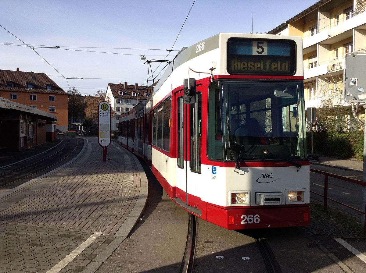 フライブルク案内 森と太陽と石畳